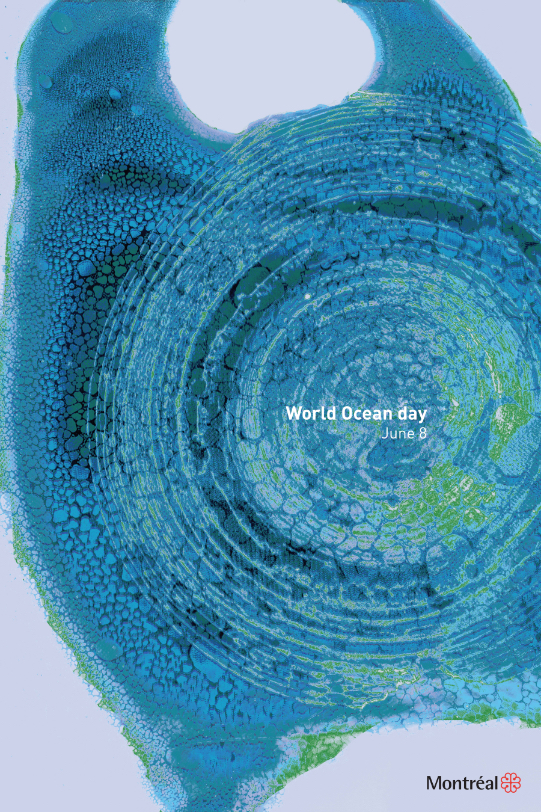 Ocean Day Poster